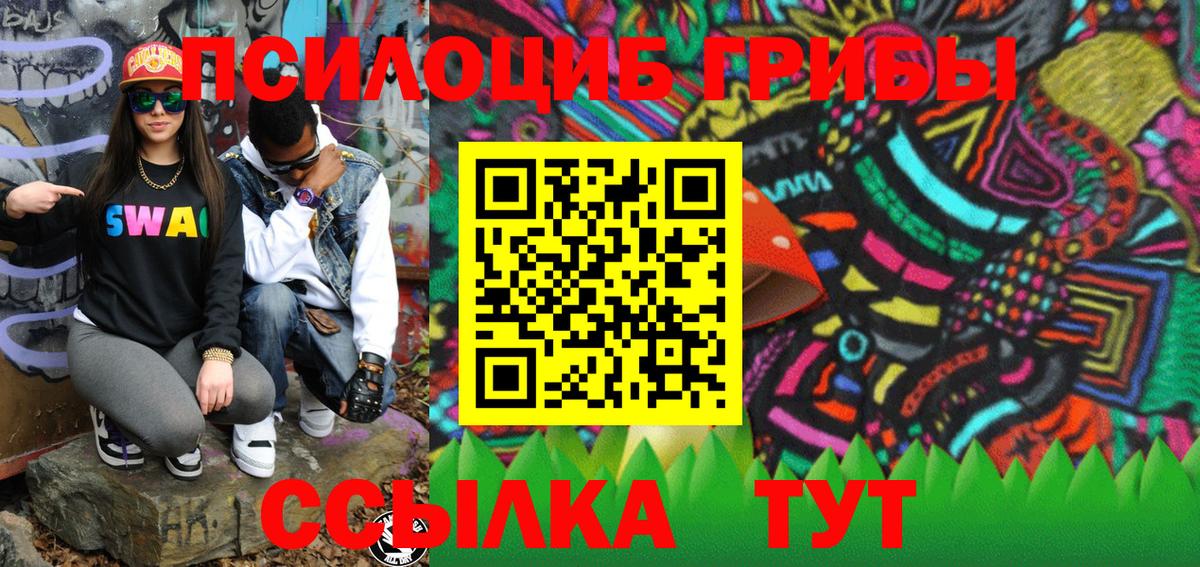 Псилоцибиновые грибы Cubensis Киселёвск