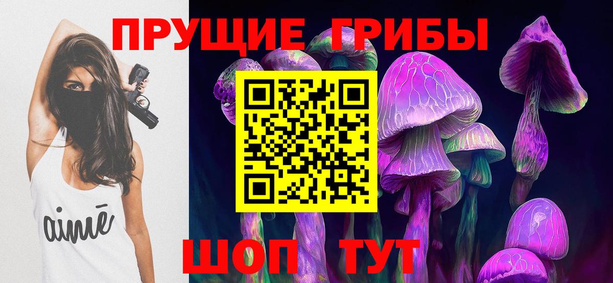 Киселёвск  Псилоцибиновые грибы MAGIC MUSHROOMS  Вход с VPN 